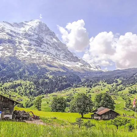 Jolimont-1 By Interhome Apartamento Grindelwald