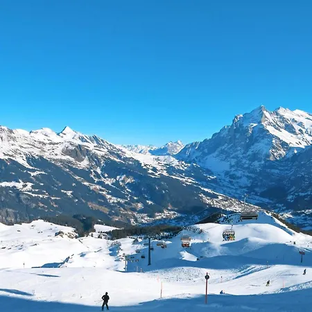 Apartmán Jolimont-1 By Interhome Grindelwald
