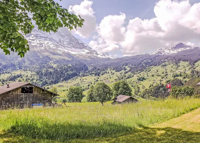 Jolimont-1 By Interhome Apartment