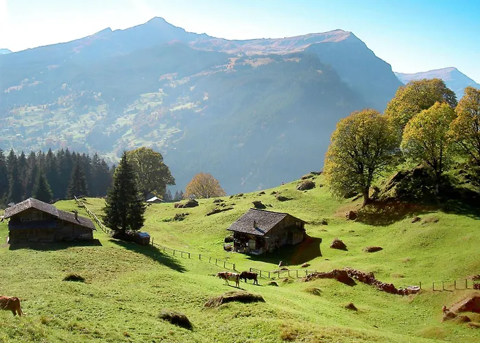 Appartement Jolimont-1 By Interhome