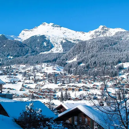 Appartement Jolimont-1 By Interhome *